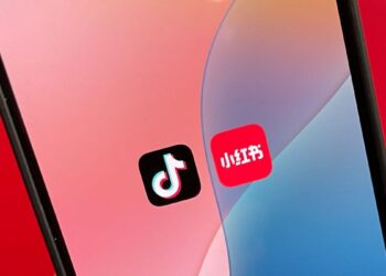 TikTok Ban: China Reacts to Possible Foreign Influence as American Users Flock to RedNote