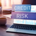 Credit Risk Software Market Surges