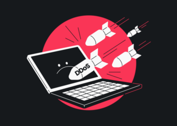 DDoS and common cybersecurity issues and bridging digital divide