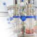 Fuse Vectors Gene Therapy Technology