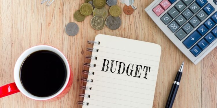 How 2025 Budget will Impact Citizens