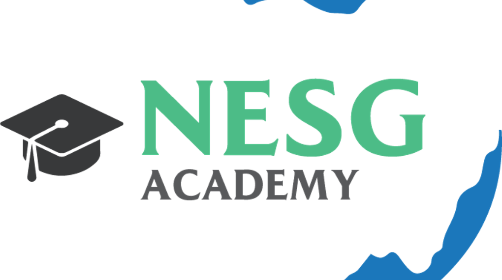 NESG ACADEMY