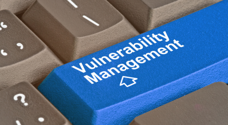 vulnerability management by Innocent Paul Ojo