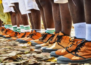 Assertive Citizen in digital age