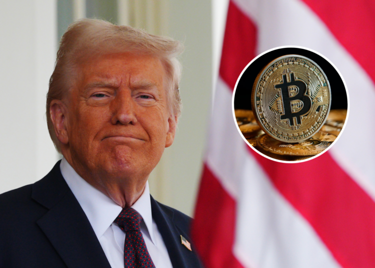 Bitcoin Surges 20%, Cardano Jumps 60% as Trump Announces Cryptocurrency Reserve Plans