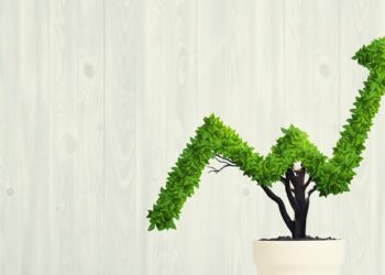 Business success and sustainability