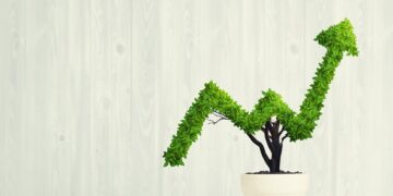 Business success and sustainability