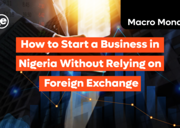 How to Start a Business in Nigeria Without Relying on Foreign Exchange