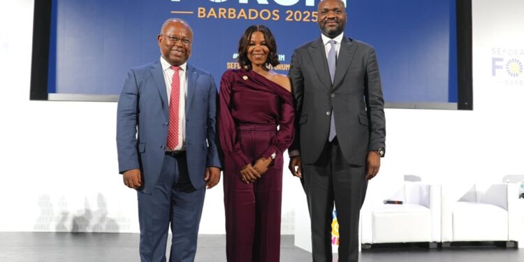 NSIA, SEforALL, ISA, and Africa50 unveil $500 million DRE Nigeria Fund