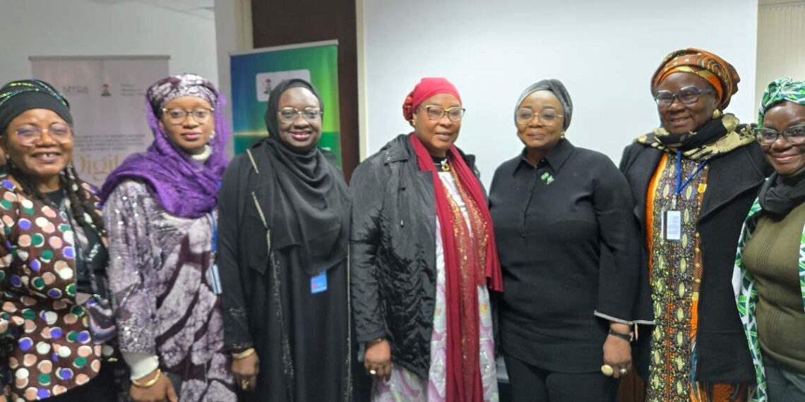 UN, NITDA at CSW69