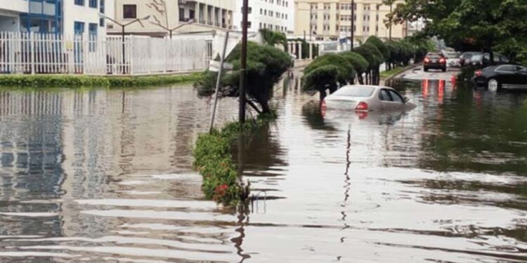 global protection gap - insurance