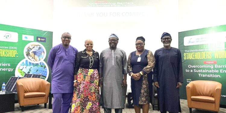 Renew Energy Nigeria by CADEF