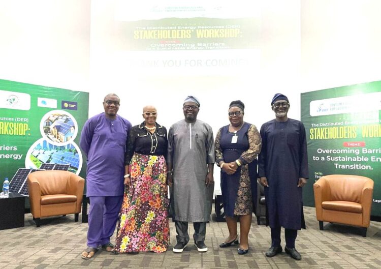 Renew Energy Nigeria by CADEF
