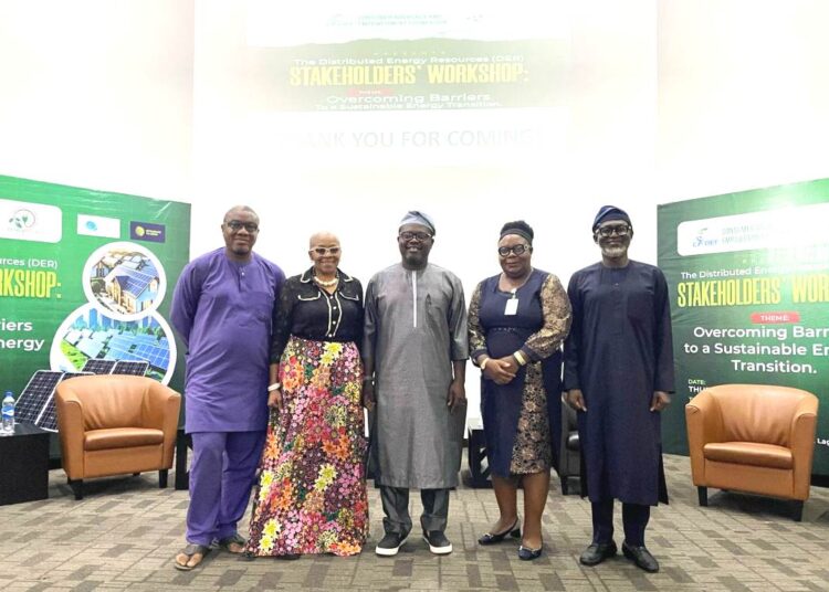 Renew Energy Nigeria by CADEF