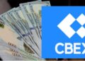CBEX PONZI and MMM