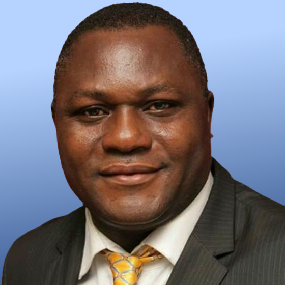 Adebayo Adeleke, general manager, Lancelot Venture