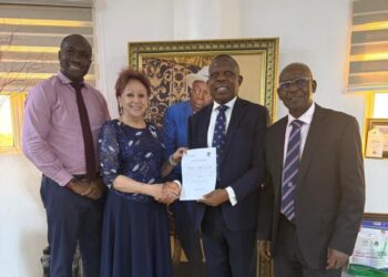 Afe Babalola and New Horizons