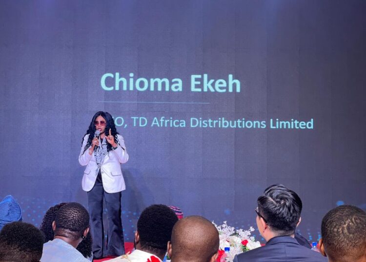 TD Africa at Huawei Day Nigeria | HP