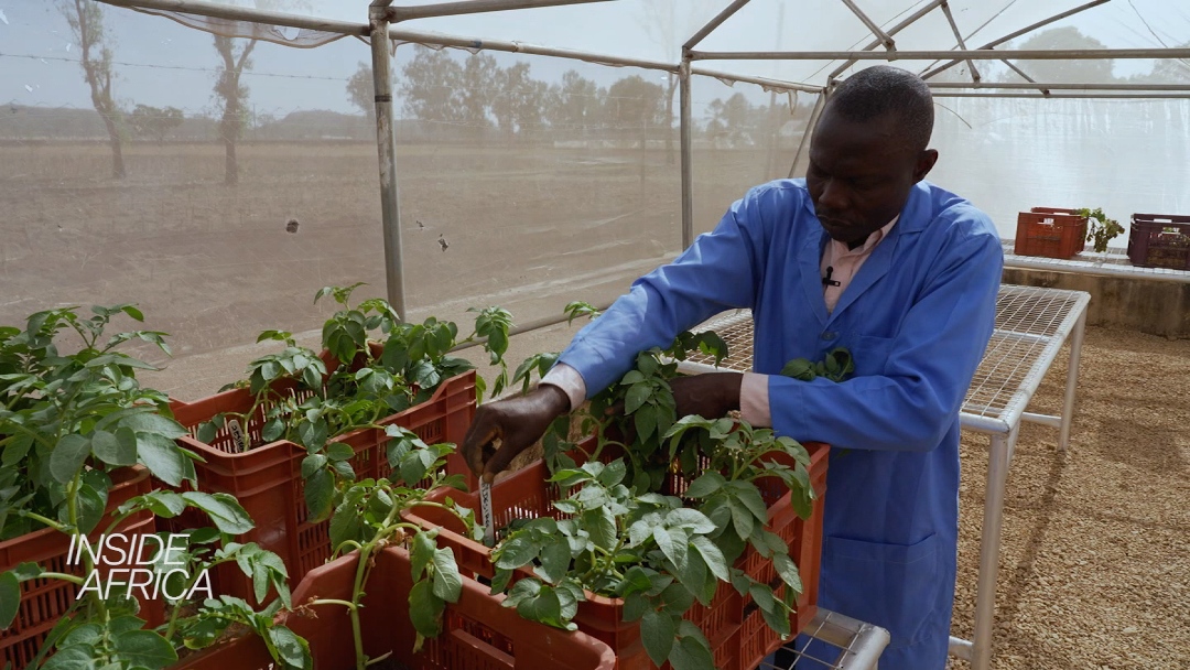 CNN and Agritech