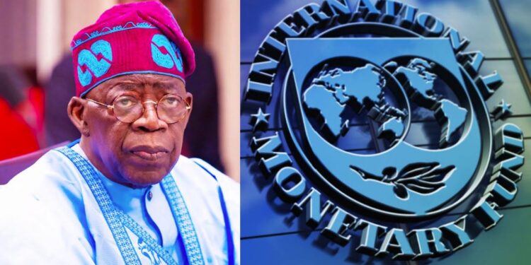 IMF Loan | President Bola Tinubu | IMF Downgrades Nigeria's 2026 Growth