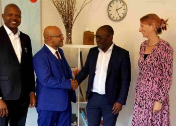 Interswitch partners with PKB