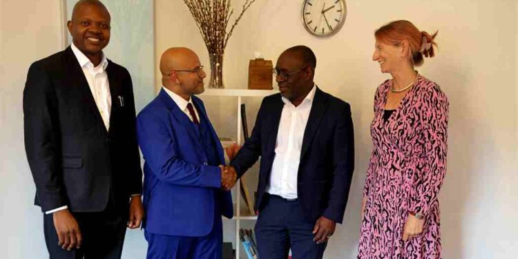 Interswitch partners with PKB
