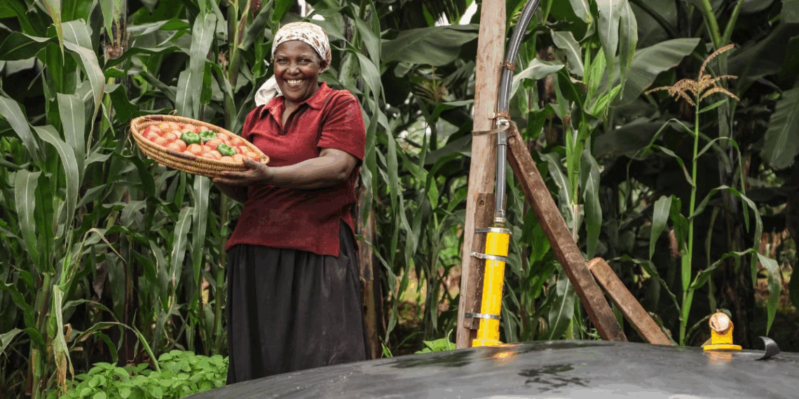 Swedfund Commits $10m to Boost African Climate Tech, Innovation