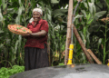 Swedfund Commits $10m to Boost African Climate Tech, Innovation