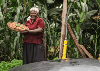 Swedfund Commits $10m to Boost African Climate Tech, Innovation
