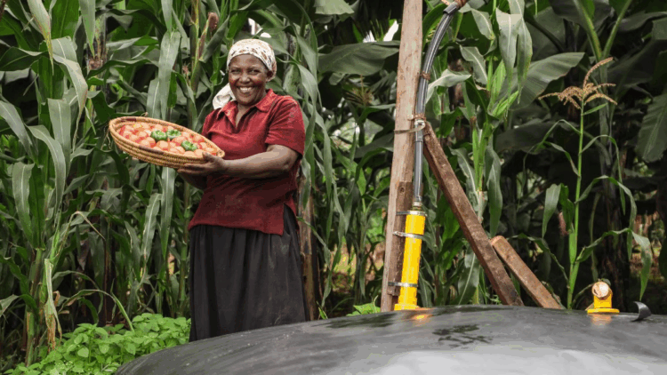 Swedfund Commits $10m to Boost African Climate Tech, Innovation
