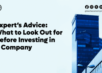What to Look Out for Before Investing in a Company