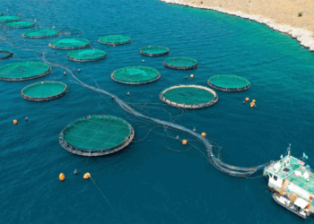 JObs in Aquaculture