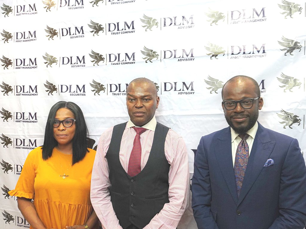 DLM Capital SBCNs