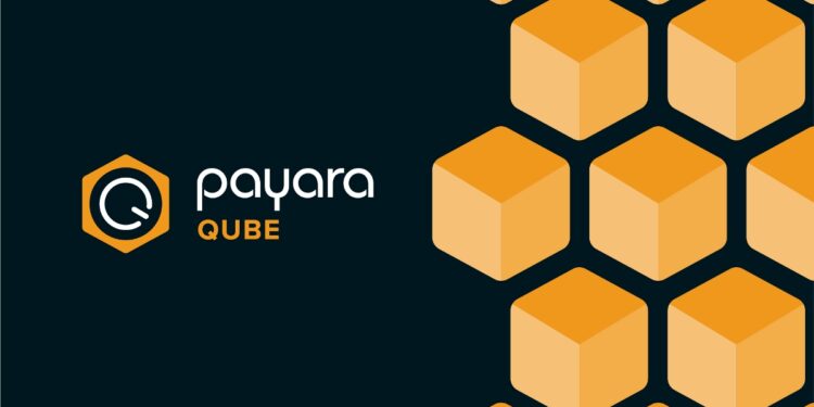 Payara Qube