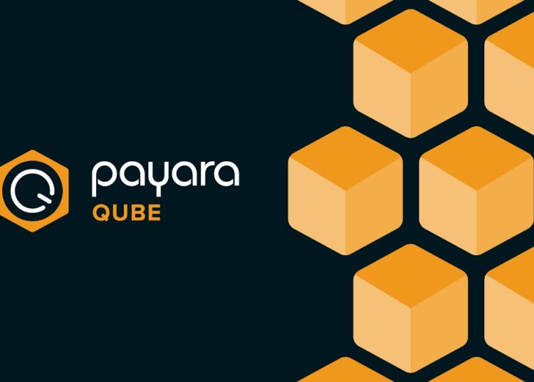 Payara Qube