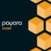 Payara Qube