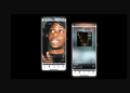 TikTok Feed -