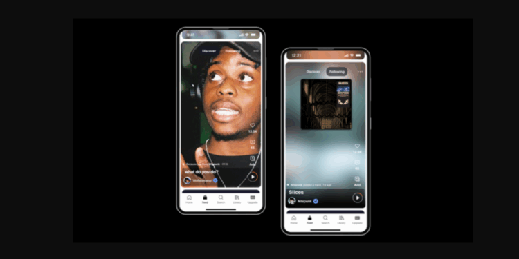 TikTok Feed -