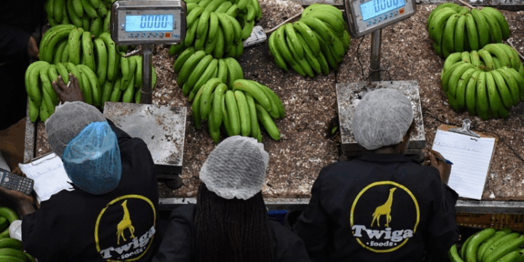 Twiga Foods Suspends Nairobi Operations for Two Months to Relocate, Cut Costs