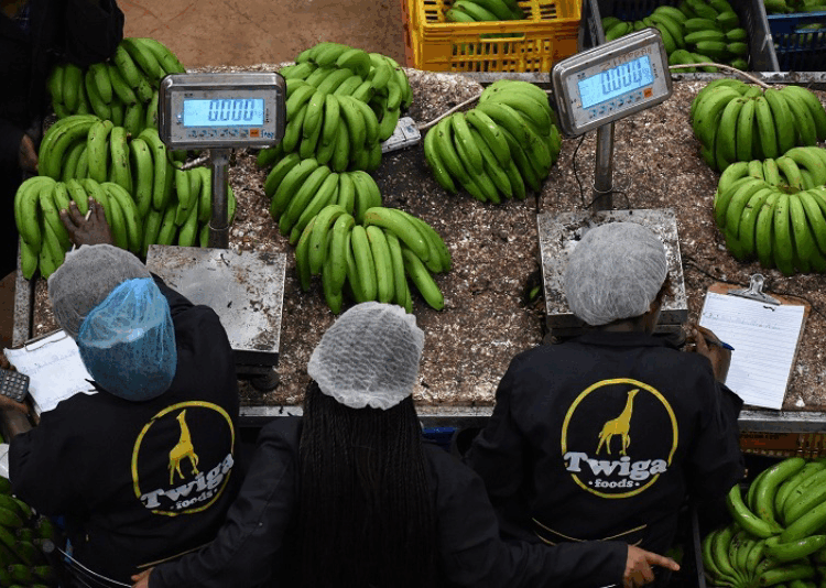 Twiga Foods Suspends Nairobi Operations for Two Months to Relocate, Cut Costs