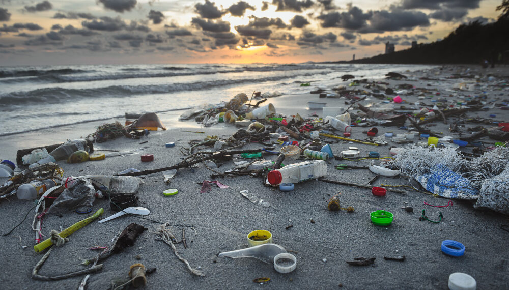 Unity Bank and plastic pollution