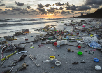 Unity Bank and plastic pollution