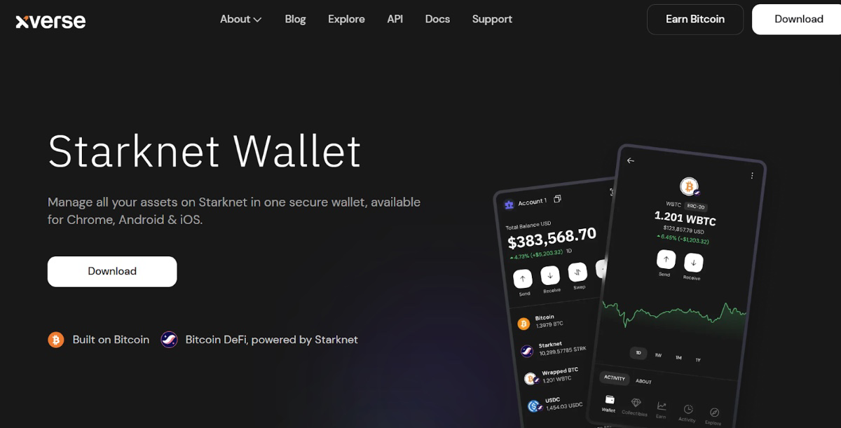 Best Starknet Wallets 2025