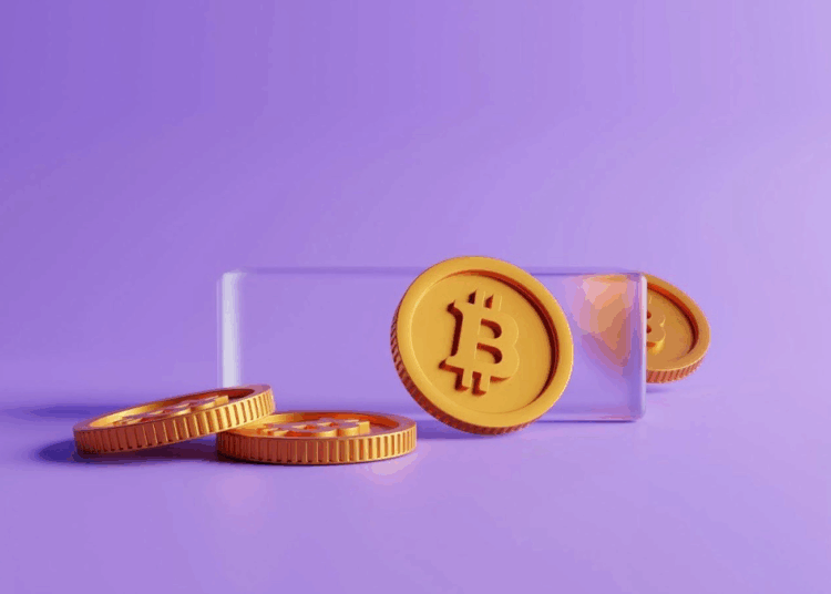 Best Starknet Wallets 2025