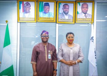 HCSF and Galaxy Backbone -