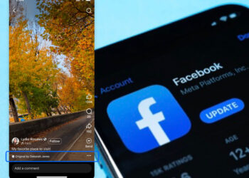 Facebook Content Theft