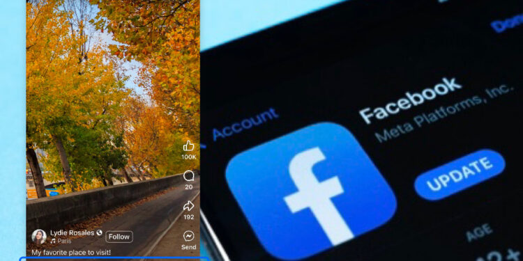 Facebook Content Theft