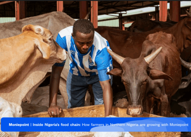 Source: Moniepoint Livestock Survey report