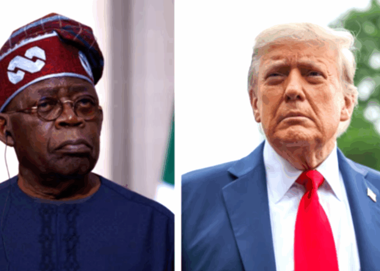 Tinubu, Trump and BRICS allies