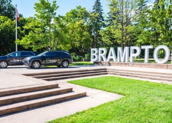 Treepz launches in Canada